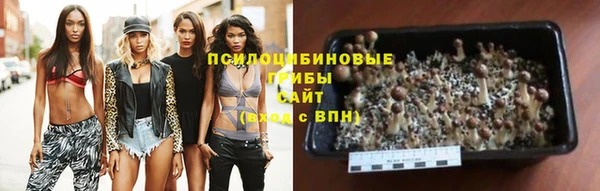 MESCALINE Белокуриха